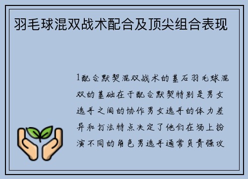 羽毛球混双战术配合及顶尖组合表现